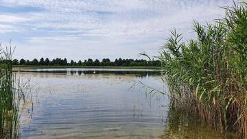 Фото номера Дом с 2 спальнями Дома для отпуска Lawendowe domki nad jeziorem Krzewent г. Krzewent 12